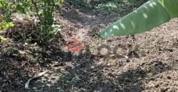 ارض زراعة للبيع في محافظة القليوبية مركز بنها قرية ساحل دجوى عزبة الصواف ارض زراعة للبيع في محافظة القليوبية مركز بنها قرية ساحل دجوى عزبة الصواف