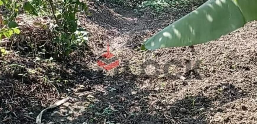 ارض زراعة للبيع في محافظة القليوبية مركز بنها قرية ساحل دجوى عزبة الصواف ارض زراعة للبيع في محافظة القليوبية مركز بنها قرية ساحل دجوى عزبة الصواف