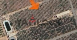 للبيع أرض زراعية على طريق داخلى فى العبور الجديده للبيع أرض زراعية على طريق داخلى فى العبور الجديده