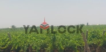 للبيع أرض زراعية على طريق داخلى فى العبور الجديده