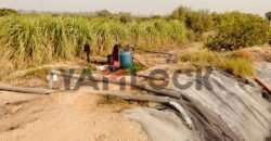 للبيع أرض زراعية على طريق داخلى فى العبور الجديده للبيع أرض زراعية على طريق داخلى فى العبور الجديده