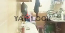 شقه للبيع فى شارع زكى السيسى فيصل متفرع من العشرين و التلاتين شقه للبيع فى شارع زكى السيسى فيصل متفرع من العشرين و التلاتين