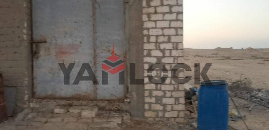 مزرعة زيتون مُسجلة على طريق الضبعة (تقسيم مرن) – إنتاجية عالية – تمليك شهر عقاري