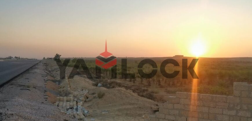 مزرعة زيتون مُسجلة على طريق الضبعة (تقسيم مرن) – إنتاجية عالية – تمليك شهر عقاري