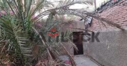 فيلا تاوين هاوس للبيع فى الحي السابع مدينه نصر خلف الحديقة الدولية مباشرة، بشارع الخليفة الأمير