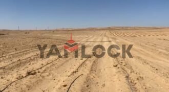 30 فدان للبيع فى طريق مركز سمالوط المنيا الصحراوي الغربي 8كيلو 30 فدان للبيع فى طريق مركز سمالوط المنيا الصحراوي الغربي 8كيلو