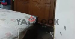 شقة 120 م² للـبيع بالقرب من كوبرى النزهة مدينة نصر