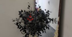 شقة 100 م² للايجار يومي في شارع خالد بن الوليد ميامي