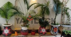 شقة 165 م² للبيع في المنطقة الثالثة مجاورة 1 في الشروق شقة 165 م² للبيع في المنطقة الثالثة مجاورة 1 في الشروق