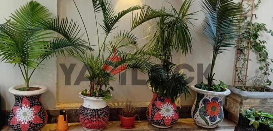 شقة 165 م² للبيع في المنطقة الثالثة مجاورة 1 في الشروق