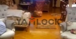 فيلا 900 م² للبيع في شارع شامبليون واجهه بحر – الاسكندرية