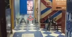 محل تجاري 250 م² للبيع في شارع سليم الاول – الزيتون