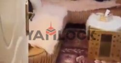 شقة 130 م² للبيع في شارع ابو موسي الأشعري متفرع من ش سيف – الاسكندرية شقة 130 م² للبيع في شارع ابو موسي الأشعري متفرع من ش سيف – الاسكندرية