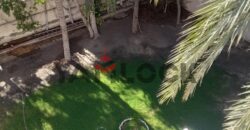 فيلا بجنينه 1650 م² للبيع 2 مبنى على نفس الأرض، كل مبنى 11 شقة فى العجمى – الاسكندرية فيلا بجنينه 1650 م² للبيع 2 مبنى على نفس الأرض، كل مبنى 11 شقة فى العجمى – الاسكندرية