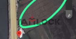 أرض 5 فدادين ونص للبيع على طريق المنصوره دمياط القديم ب ميت الصارم علي الطريق مباشر