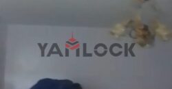 شقة 176 م² للبيع في عبد الفتاح متولي – الغربية المحلة الكبري