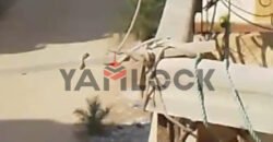 شقة 70 م² للبيع في شارع 65 اكتوبر النخيل – الاسكندرية شقة 70 م² للبيع في شارع 65 اكتوبر النخيل – الاسكندرية