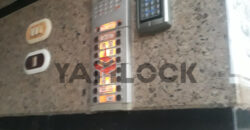 شقه للبيع فى البنفسيج ٥ فى التجمع الاول