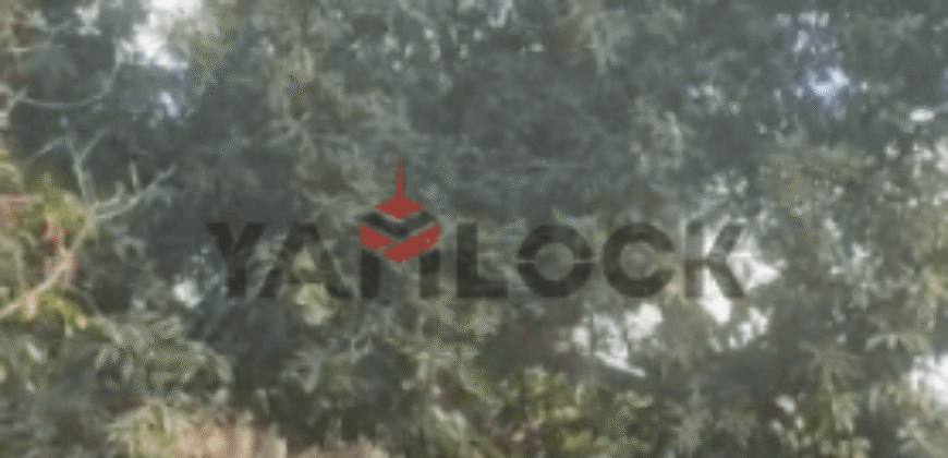 أرض 5 قراريط 850 م² للبيع علي طريق ابشواى – الفيوم