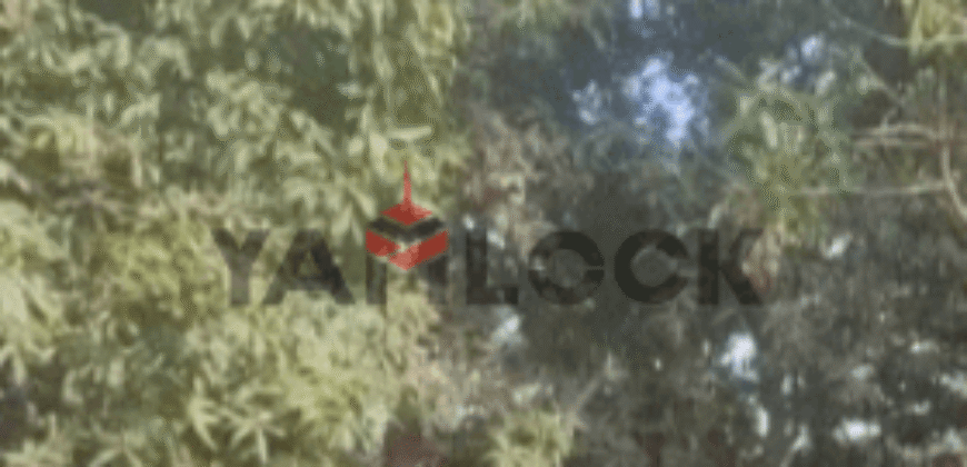 أرض 5 قراريط 850 م² للبيع علي طريق ابشواى – الفيوم