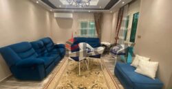 شقة 190 م² للايجار مفروشة في الحي الثامن – مدينة نصر