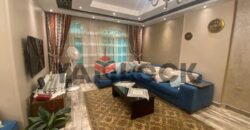 شقة 190 م² للايجار مفروشة في الحي الثامن – مدينة نصر