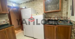 شقة 190 م² للايجار مفروشة في الحي الثامن – مدينة نصر