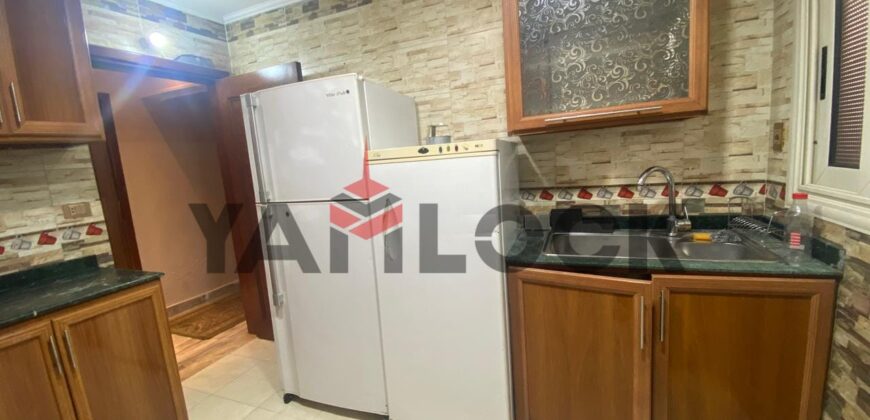 شقة 190 م² للايجار مفروشة في الحي الثامن – مدينة نصر