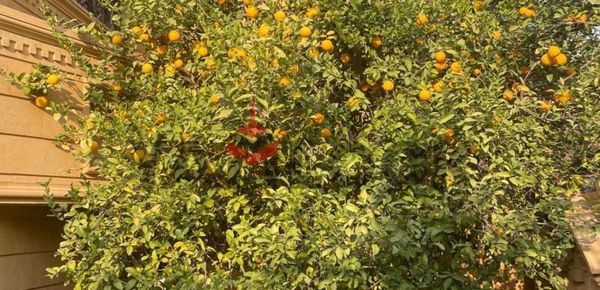 شقة 180 م² للايجار مفروشة في النرجس 6 – التجمع الخامس