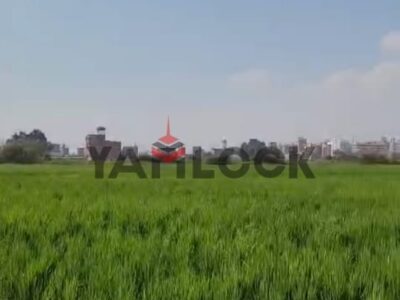 ارض زراعيه 175 م² للبيع بمنطقة نقيطة – المنصورة ارض زراعيه 175 م² للبيع بمنطقة نقيطة – المنصورة