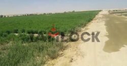 أرض 56 فدان للبيع في مدينه الفرافره قريه الكفاح منطقه عين التنين – الوادي الجديد