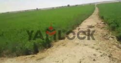 أرض 56 فدان للبيع في مدينه الفرافره قريه الكفاح منطقه عين التنين – الوادي الجديد