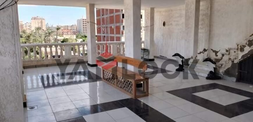 مبنى سكني 210 م² للبيع في العجمي بيانكي شارع 11 – الاسكندرية