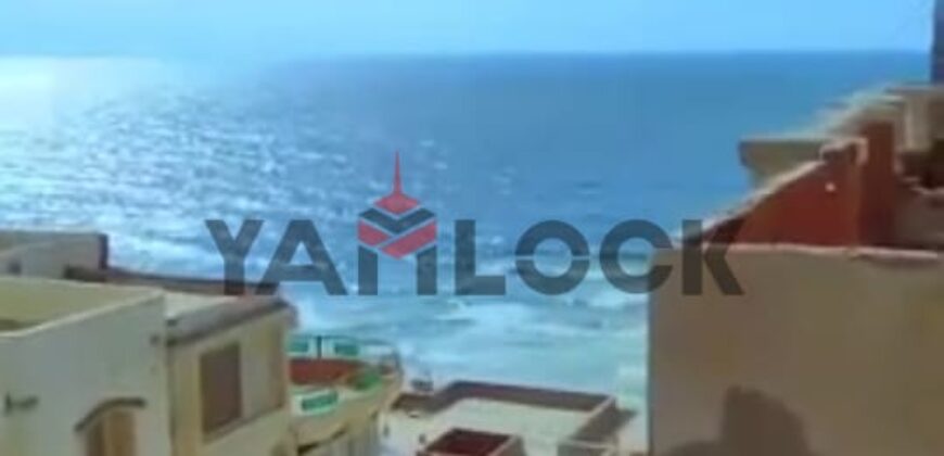 روف 300 م² للبيع في البيطاش بيانكي ش 15 – الاسكندرية