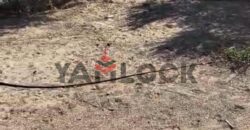 أرض 6250 م² للبيع في شمال سيناء وبالتحديد في بالوظة