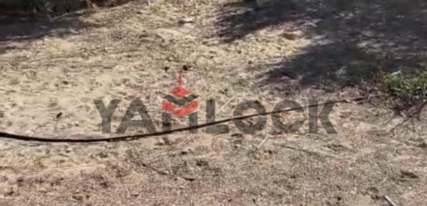 أرض 6250 م² للبيع في شمال سيناء وبالتحديد في بالوظة