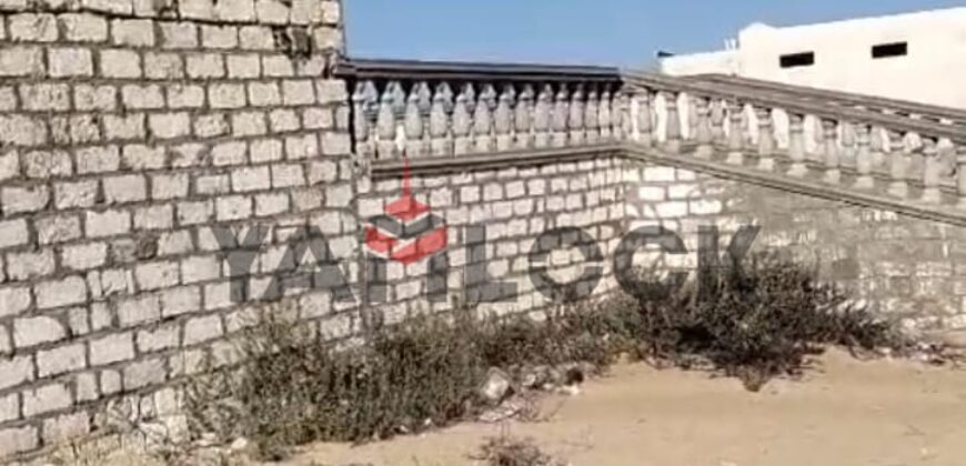 أرض 6250 م² للبيع في شمال سيناء وبالتحديد في بالوظة