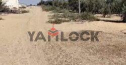 أرض 6250 م² للبيع في شمال سيناء وبالتحديد في بالوظة