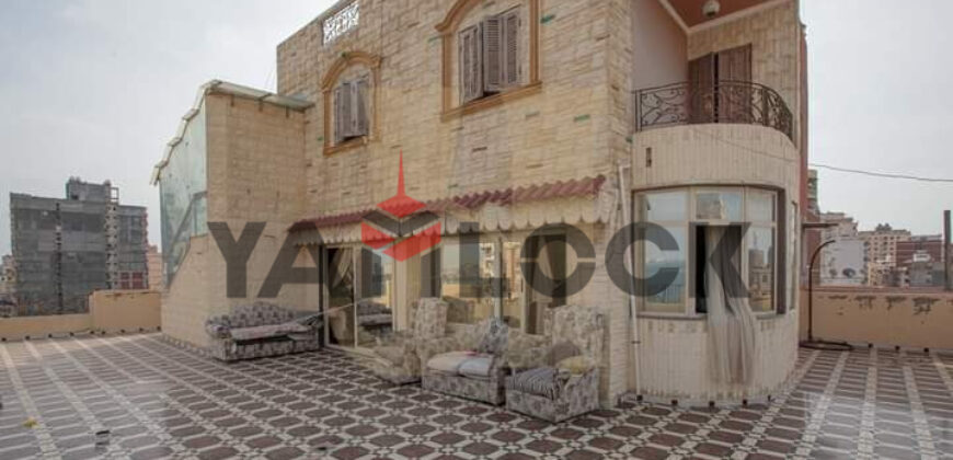 دوبلكس بروف 600 م² للبيع في رأس التين – الاسكندرية