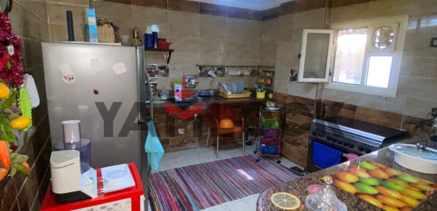 شقة 130 م² للبيع تشطيب سوبر لوكس في الاسكندرية – الاسكندرية
