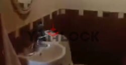 شقة 230 م² للبيع تشطيب كامل – إطلالة حديقة في الشروق – القاهرة