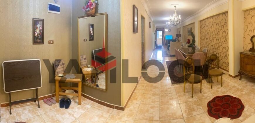 شقة 200 م² للايجار مفروشة في جليم – الاسكندرية