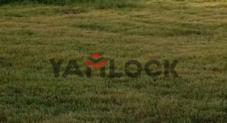 أرض 4 فدان للبيع علي طريق بورسعيد الاسماعيليه