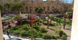 Luxurious 100sqm Medical/Office Suite with Private Entrance in alexandria Luxurious 100sqm Medical/Office Suite with Private Entrance in alexandria