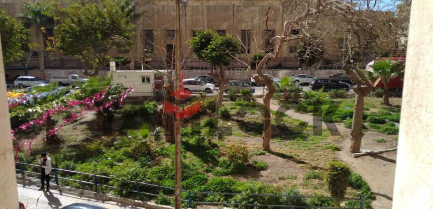 Luxurious 100sqm Medical/Office Suite with Private Entrance in alexandria