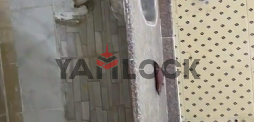 شقة 80 م² للبيع في فلمنج شارع جميعي امام فتح اللّٰه – الاسكندرية