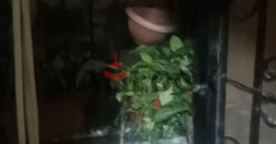 شقة 90 م² للبيع في كمبوند الياسمين – 6 اكتوبر