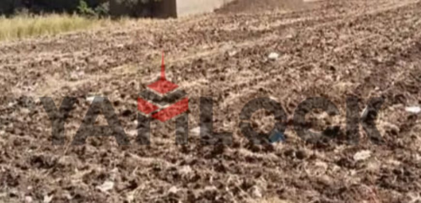 أرض 105 م² للبيع في طنط الجزيرة مركز طوخ القليوبيه