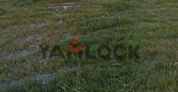 أرض 4 فدان للبيع علي طريق بورسعيد الاسماعيليه علي الكيلو 24 من بورسعيد