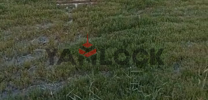 أرض 4 فدان للبيع علي طريق بورسعيد الاسماعيليه علي الكيلو 24 من بورسعيد